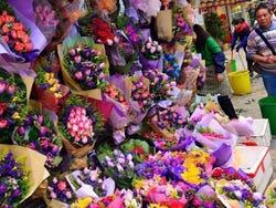 Hong Kong Flower Market