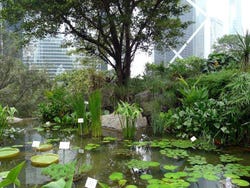 Hong Kong Park